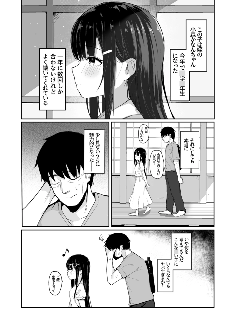 夏に帰るのは姪(キミ)のため【RJ01010919】 のサンプル画像