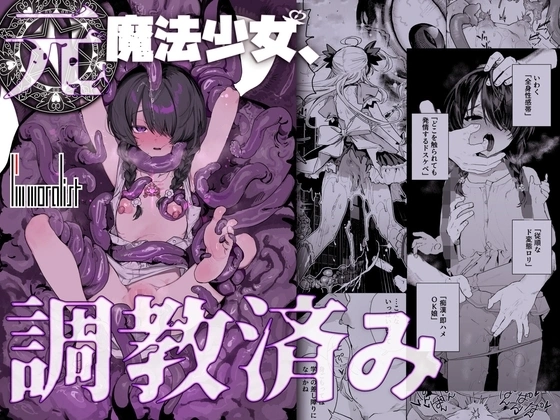 元魔法少女、調教済み【RJ01322311】 の表紙