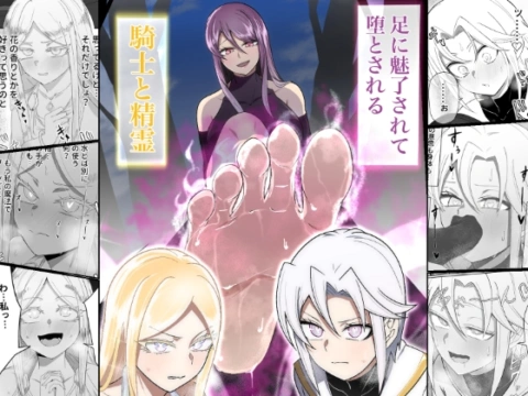 足に魅了されて堕とされる騎士と精霊のお話 の表紙